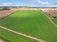 Image of property