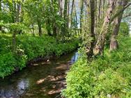 Image of property