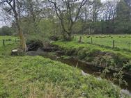 Image of property