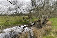 Image of property