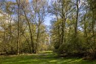 Image of property