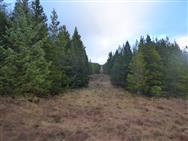 Image of property