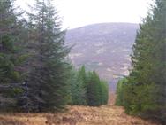 Image of property