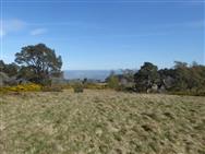 Image of property