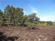 Image of property