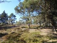 Image of property