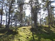 Image of property