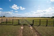 Image of property