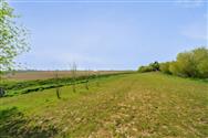 Image of property