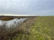 Image of property