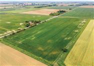Image of property