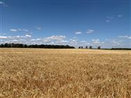 Click to view more details