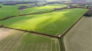 Image of property