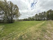 Image of property