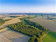 Image of property