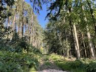 Image of property