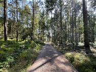 Image of property