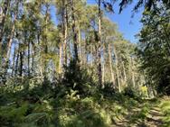 Image of property