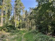 Image of property