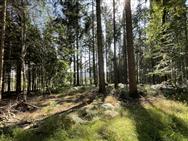 Image of property
