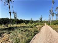 Image of property