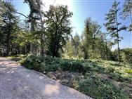 Image of property
