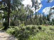 Image of property