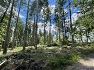 Image of property