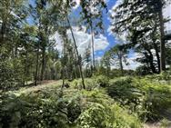 Image of property