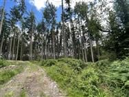 Image of property