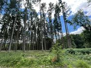Image of property