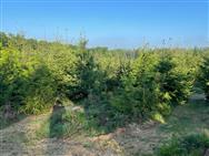 Image of property