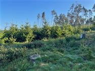 Image of property