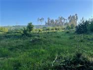 Image of property