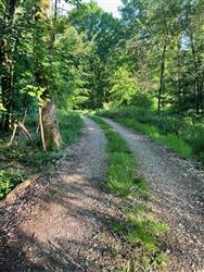 Image of property