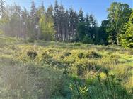 Image of property