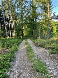 Image of property