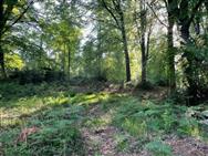 Image of property