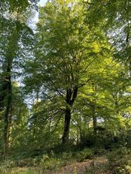 Image of property