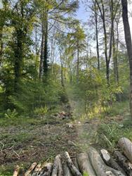 Image of property