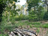 Image of property
