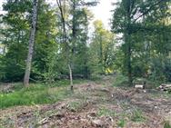 Image of property