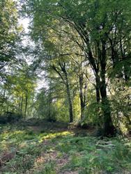 Image of property