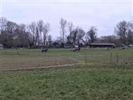 Image of property