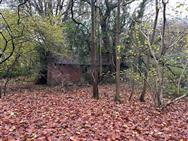 Image of property