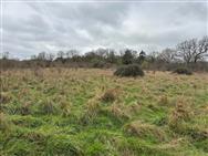 Image of property