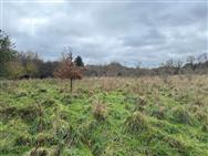 Image of property
