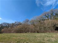 Image of property