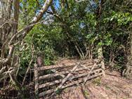 Image of property