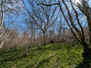 Image of property